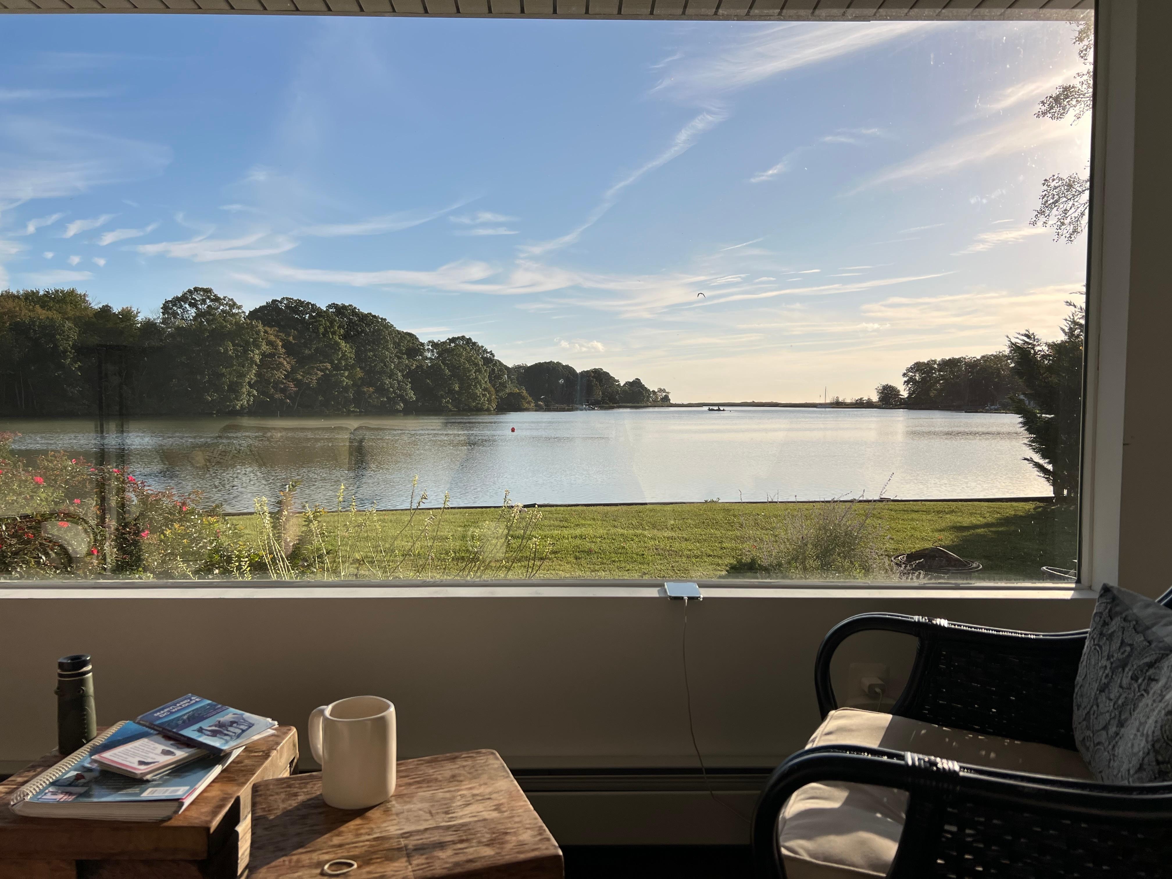 View from sitting area