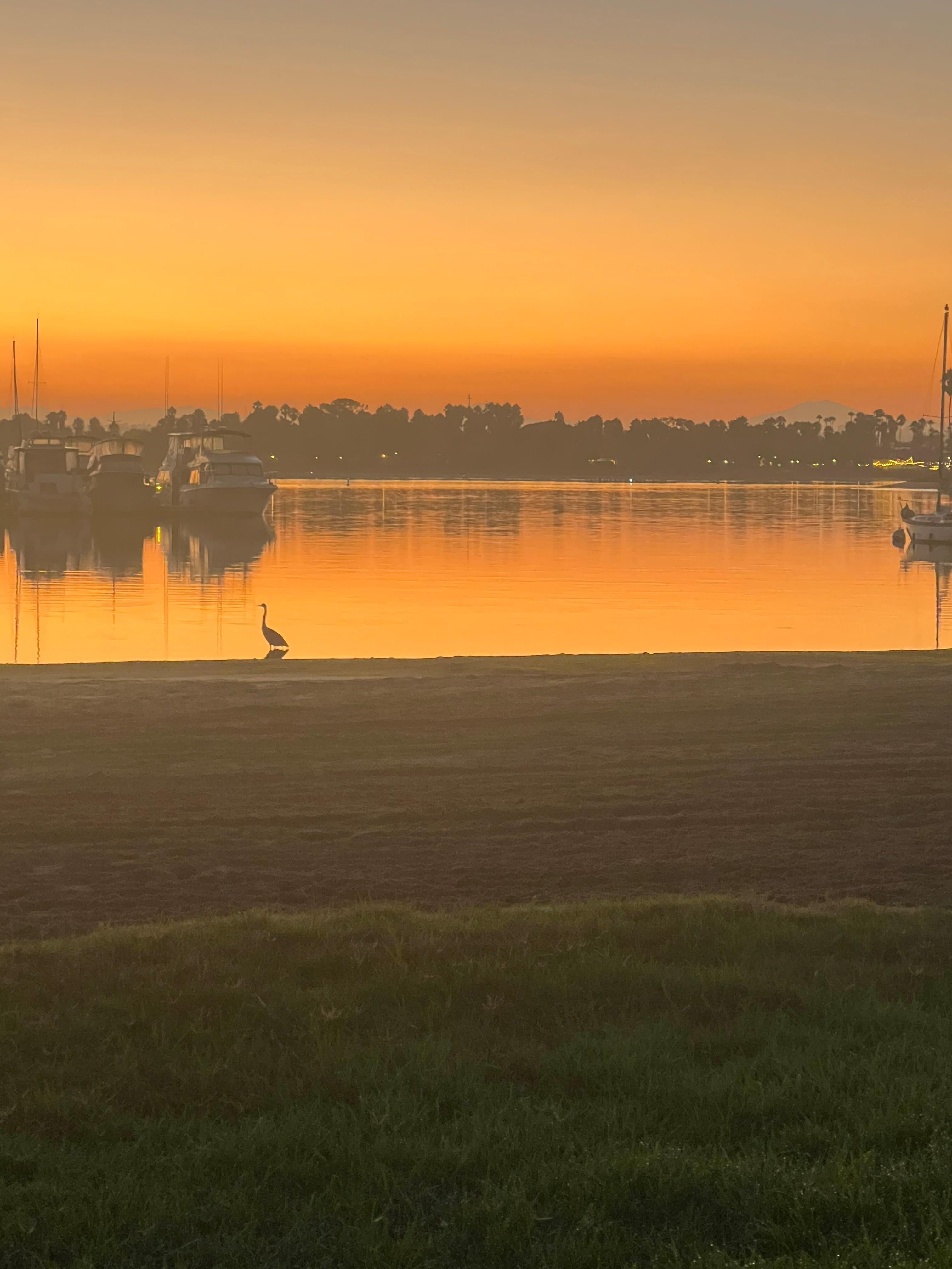 Sunrise from across the street
