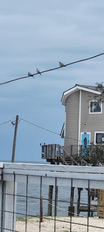 Morning doves visited every day
