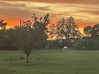 Zoomed in so you can see the horse.