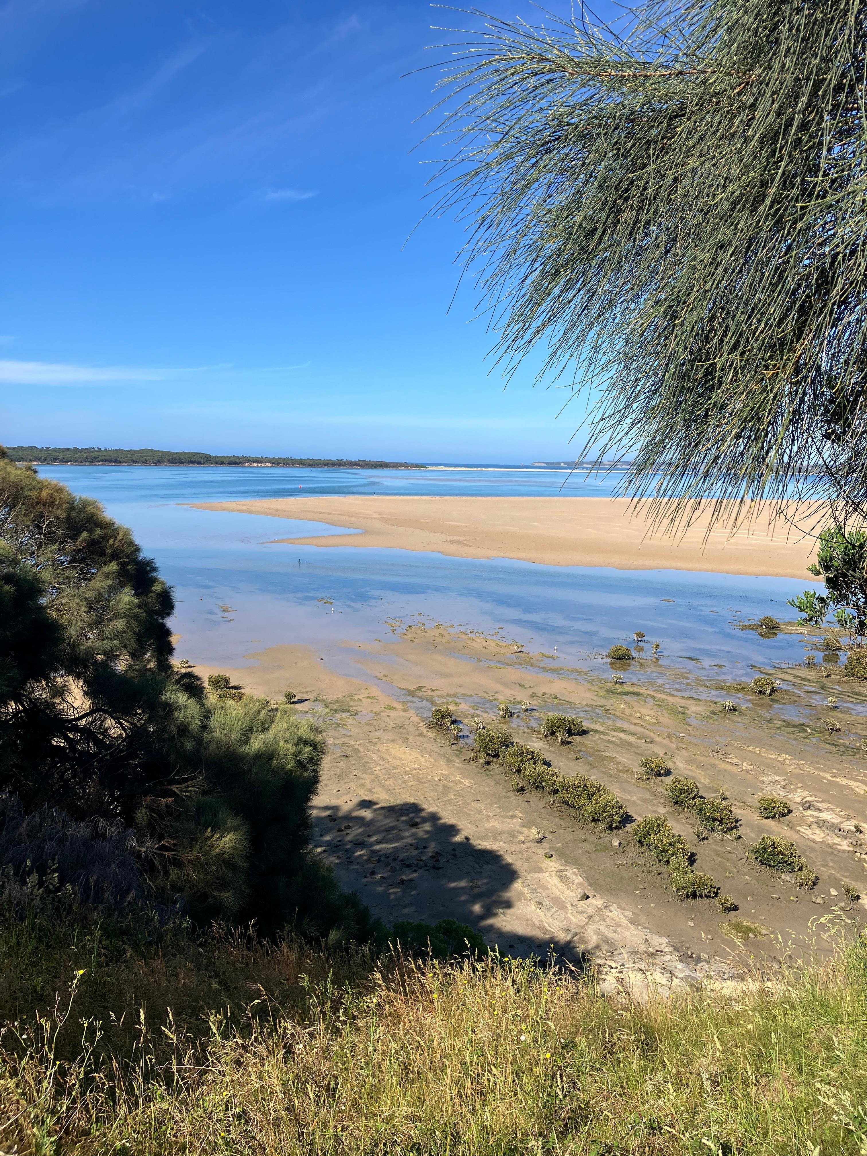 A view over the Inlet.