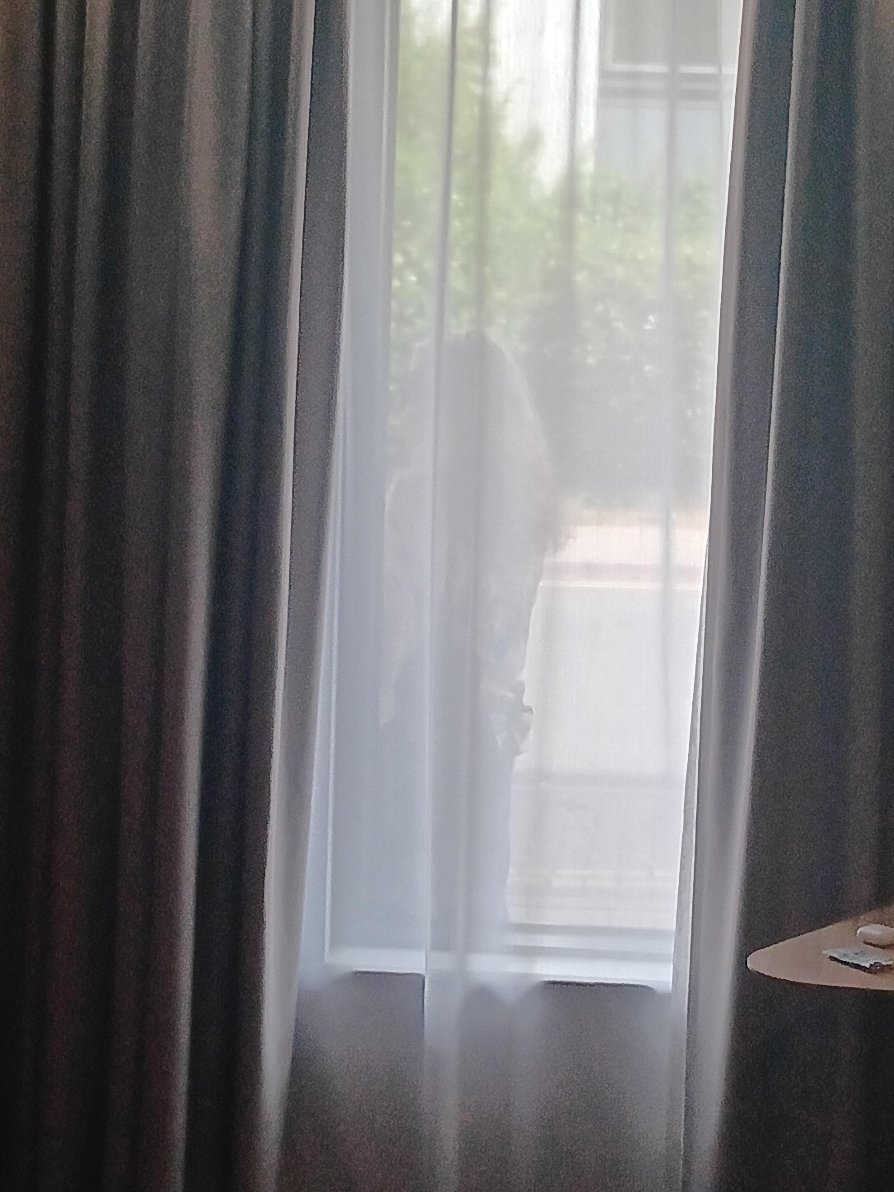 View from inside 