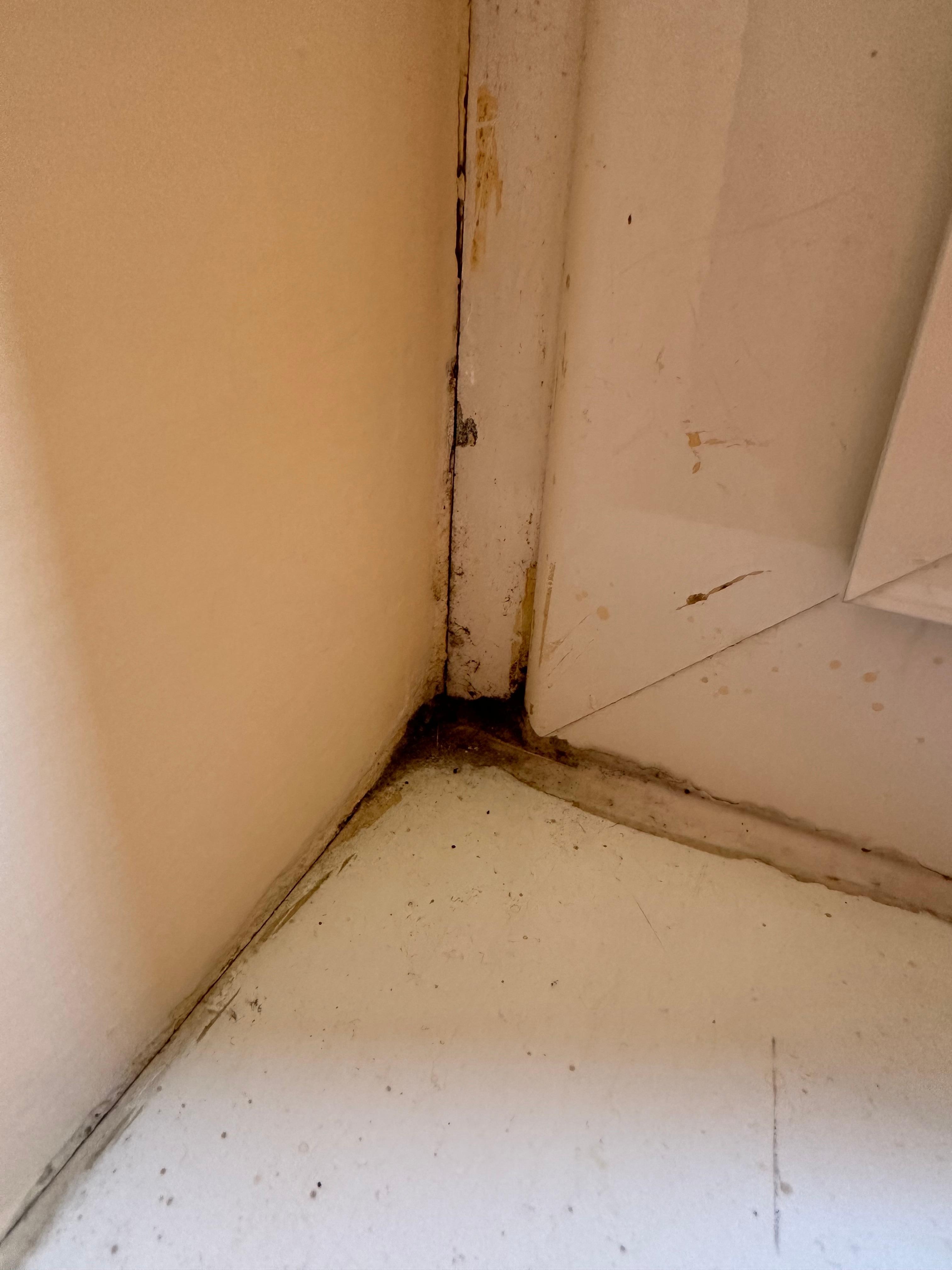 Near the door, very dirty!!