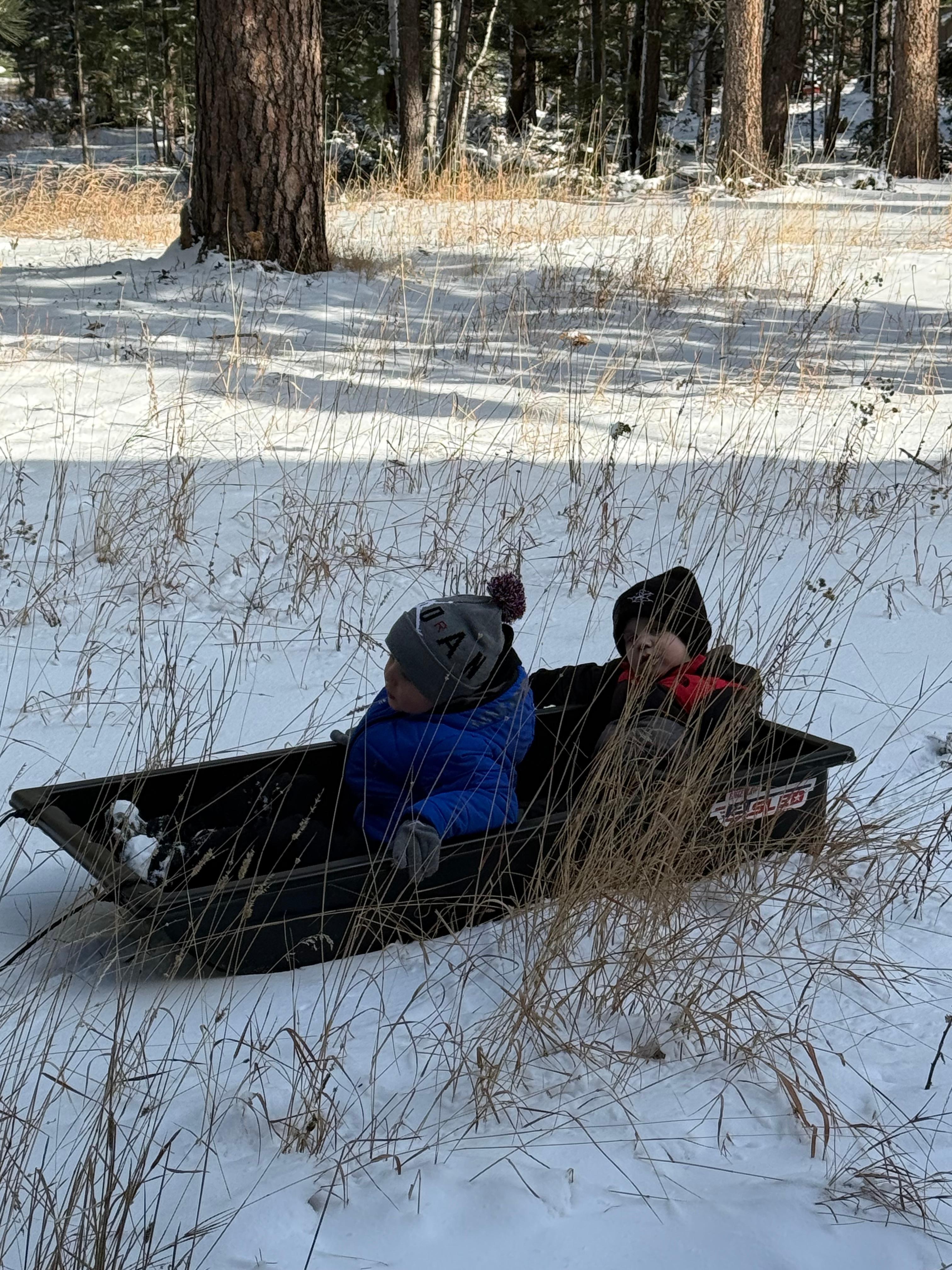 Kids enjoyed sledding in the backyard