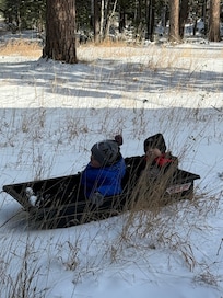 Kids enjoyed sledding in the backyard