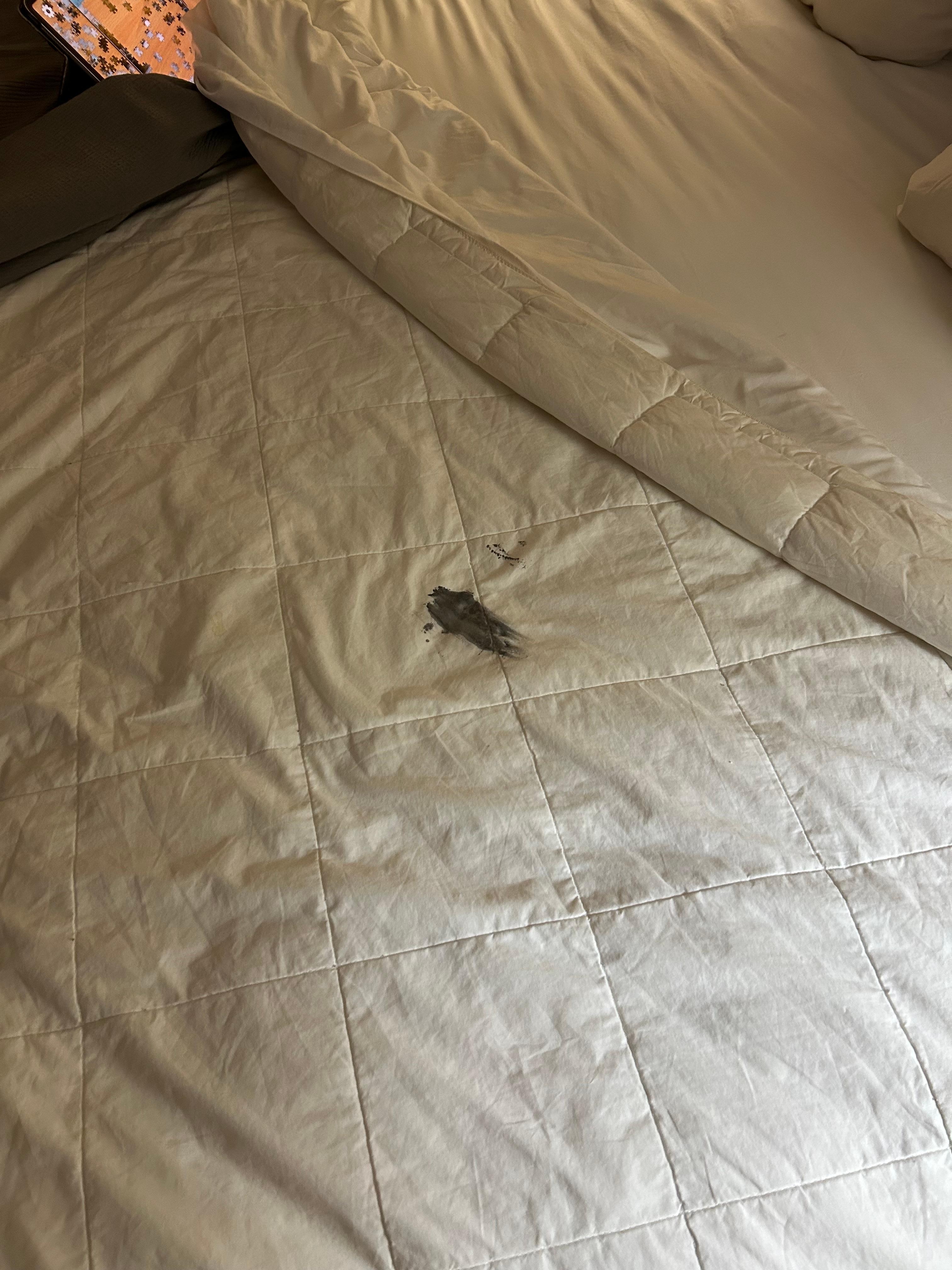 The duvet 