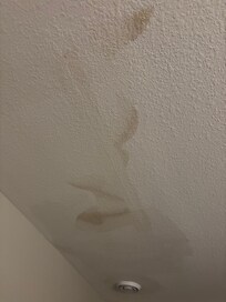 Appears to be water stains or mold on the ceiling in bedroom. Did not feel healthy!