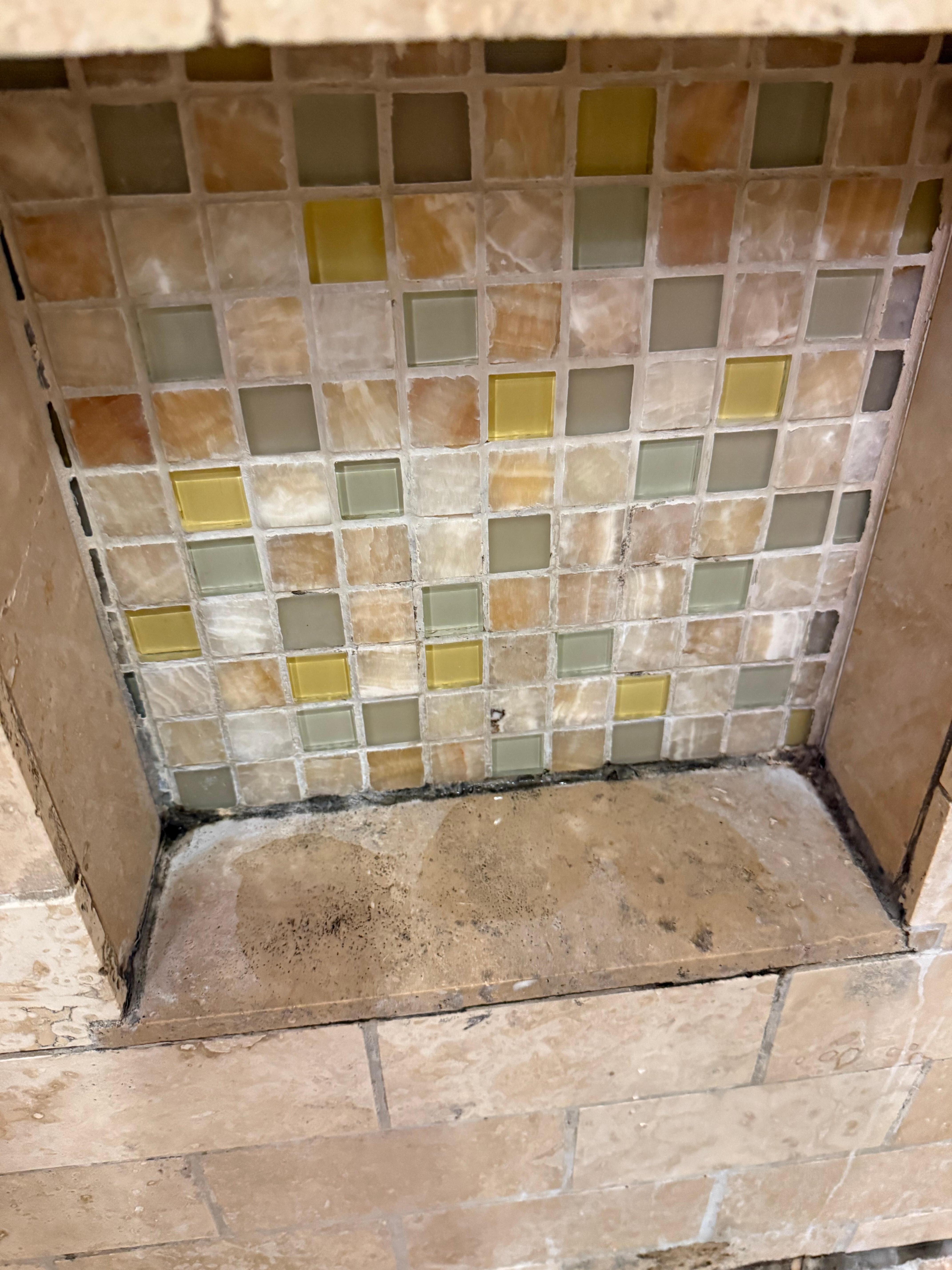 Main bathroom shower mildew