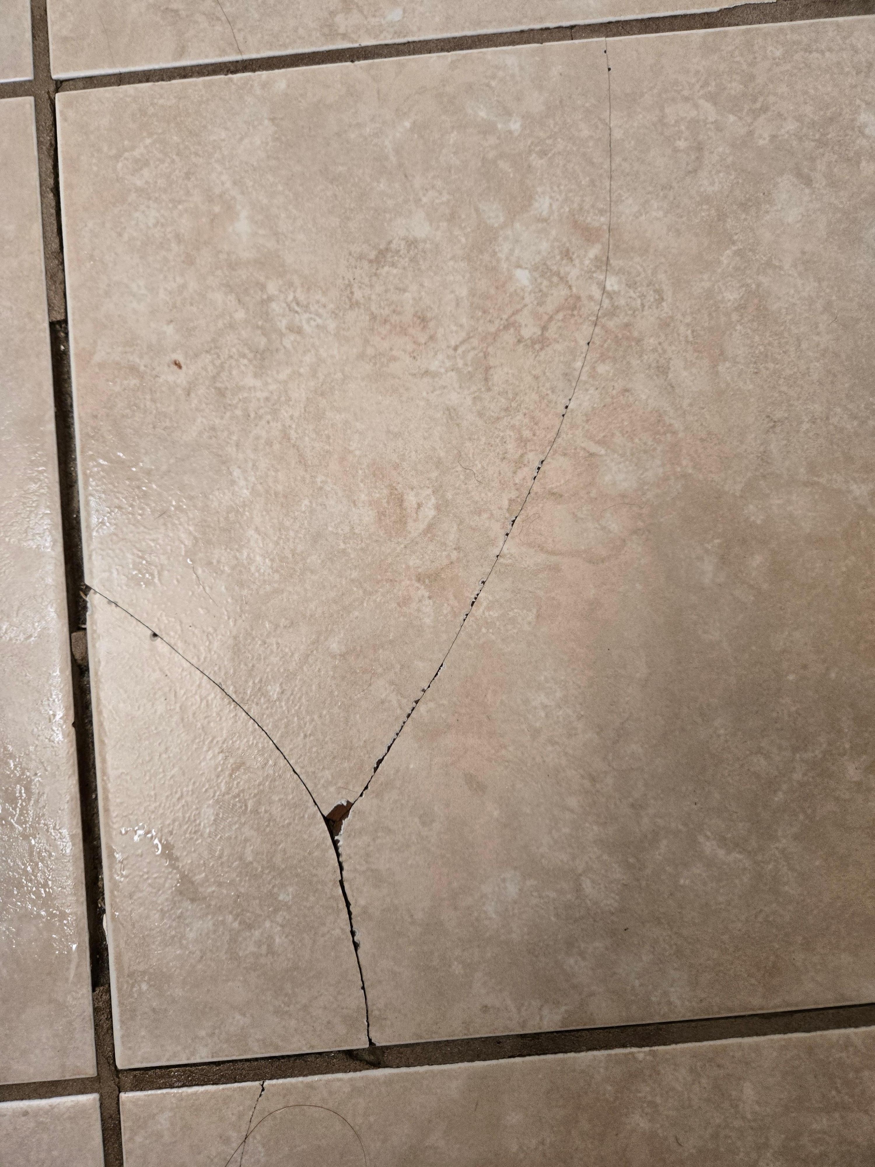 Broken tiles on bathroom floor