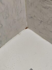Inside shower area, dirt in corners