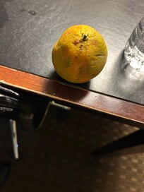 Rotten orange in “bag” breakfast.