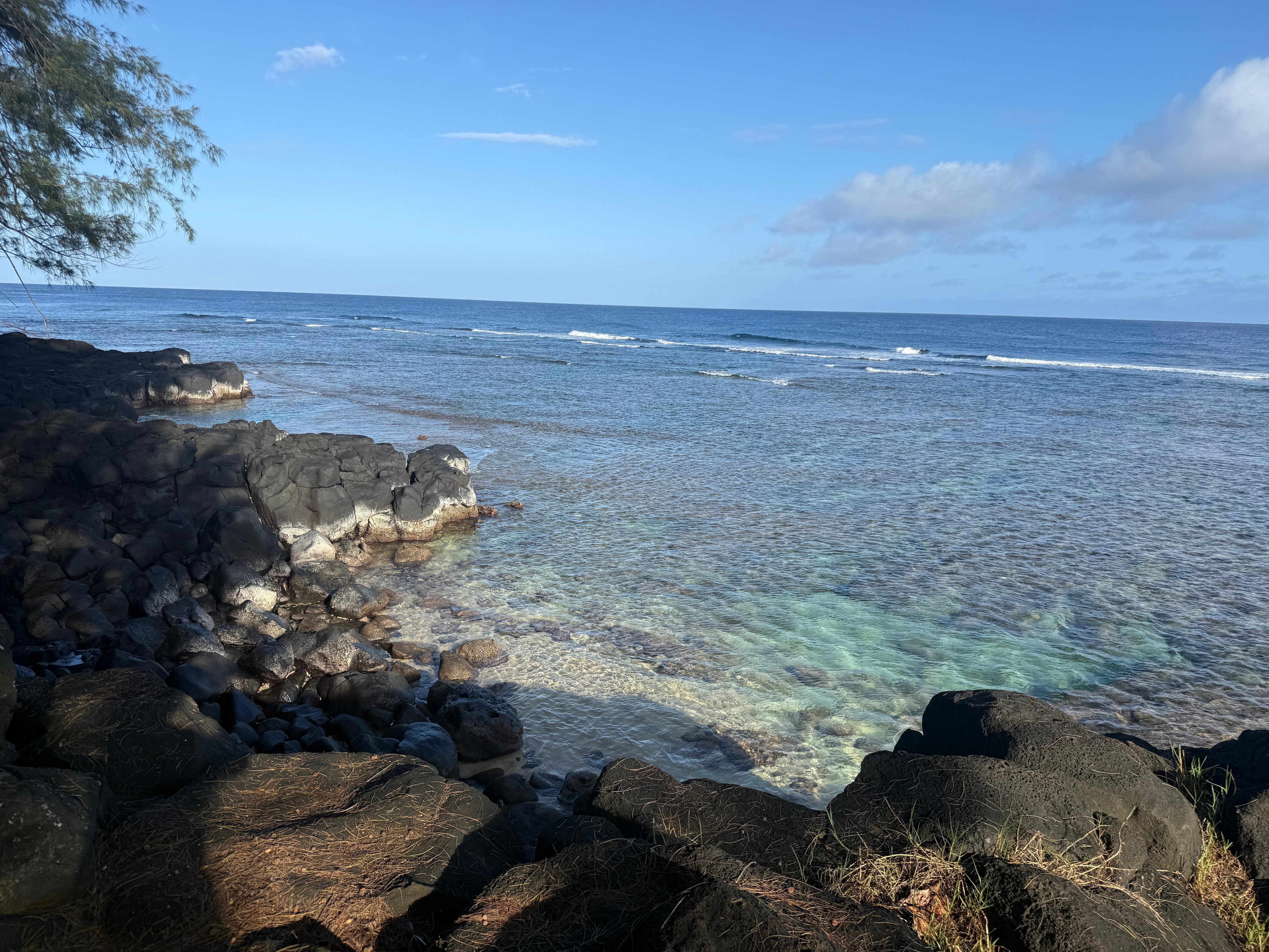 Trail walk to beach from house
