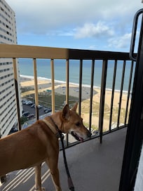 Nice balcony views!