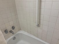 Mold, cracking, or poorly cleaned shower tiles