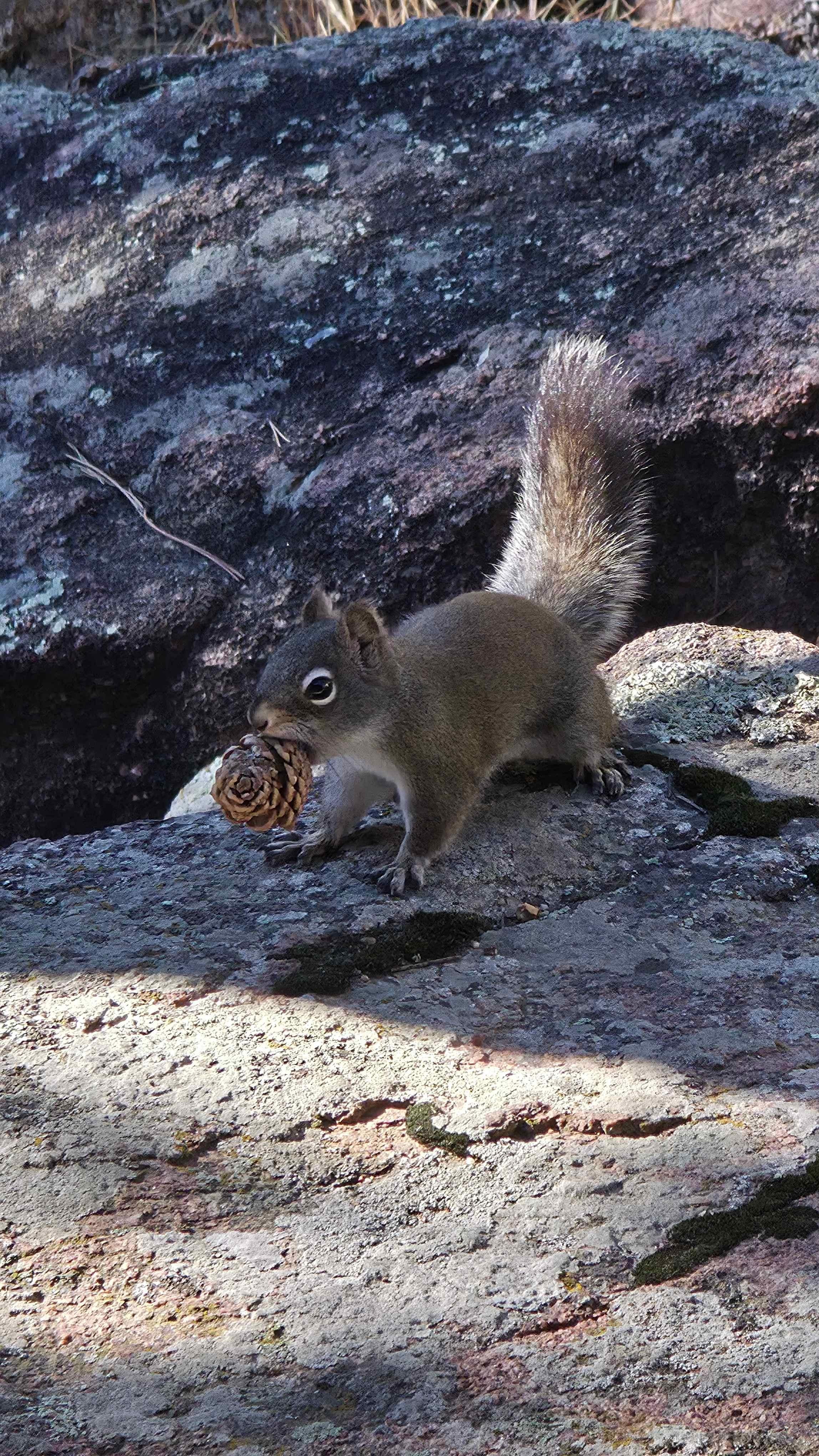 The occasional furry friend just outside. 