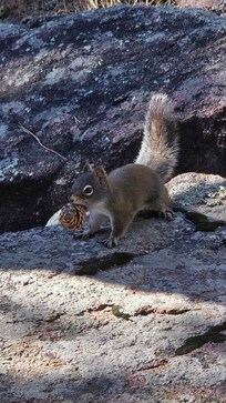 The occasional furry friend just outside.