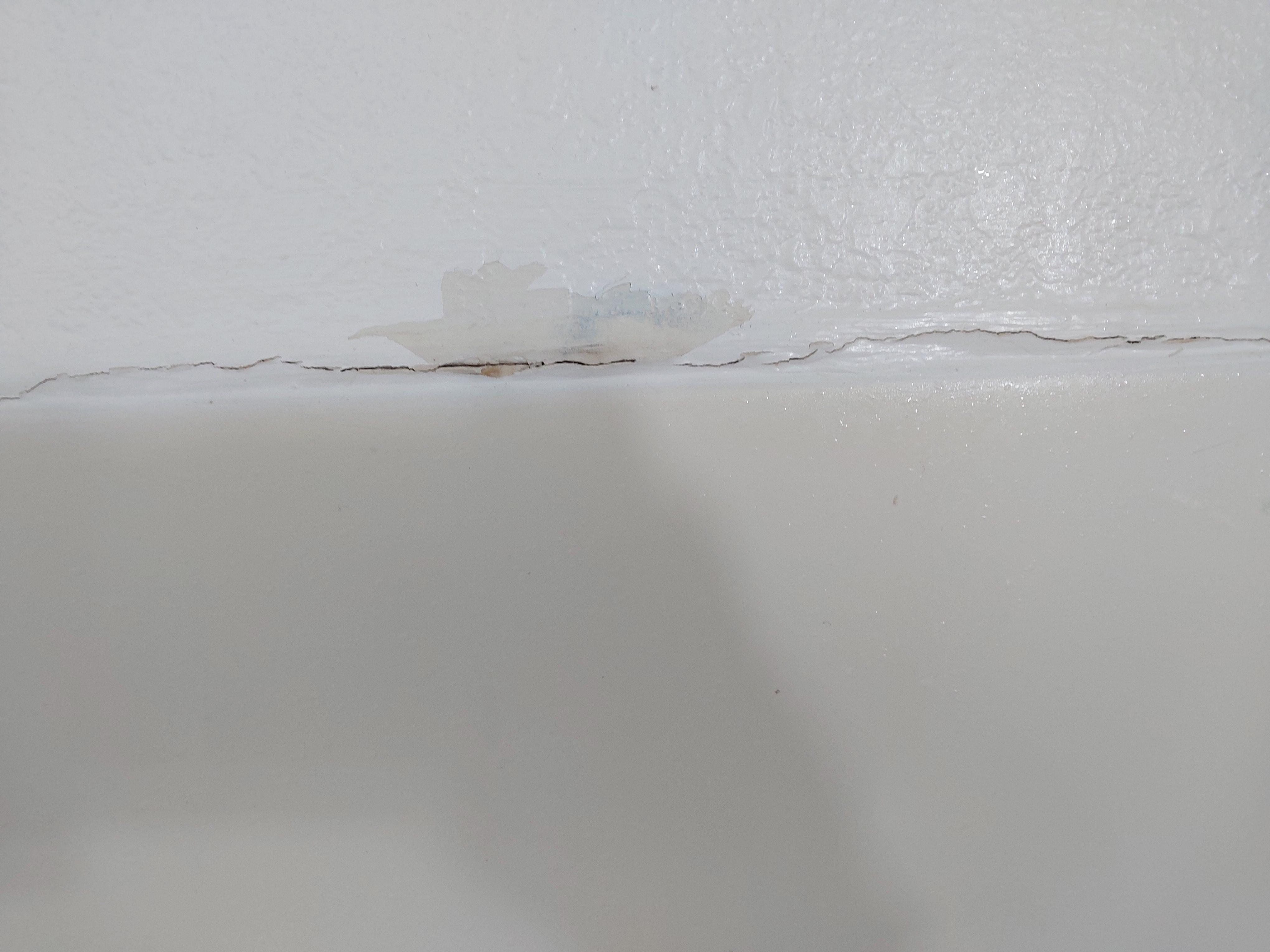 Painted over mold?