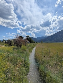 Grounds