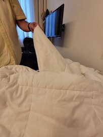 Stained Blanket