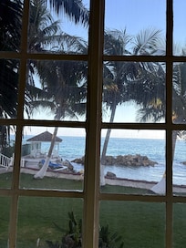 View from the front window