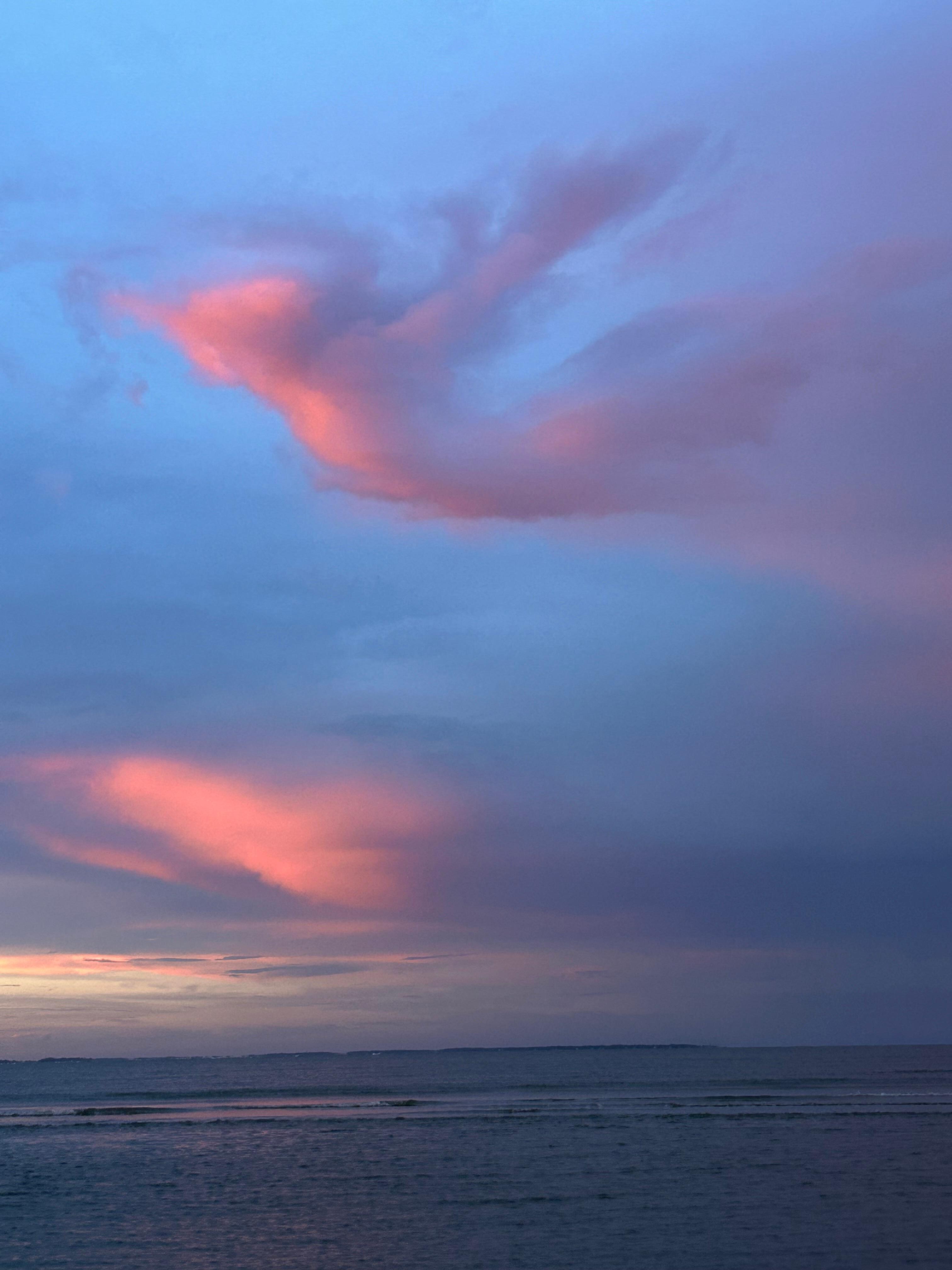 After the storm thought this looked like an angel