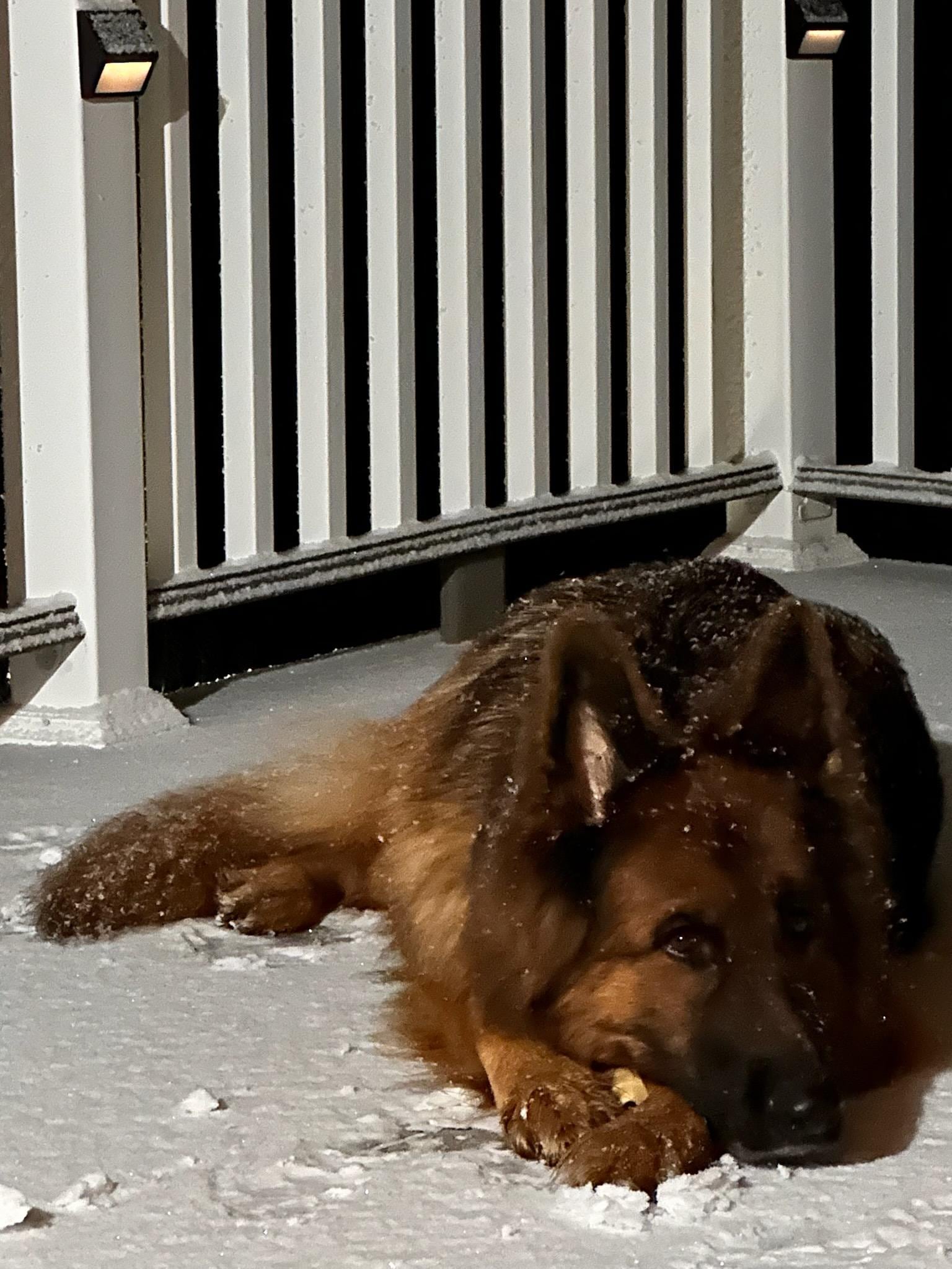 Behr loved the snow and cold weather
