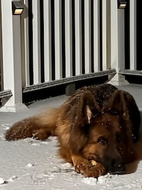 Behr loved the snow and cold weather