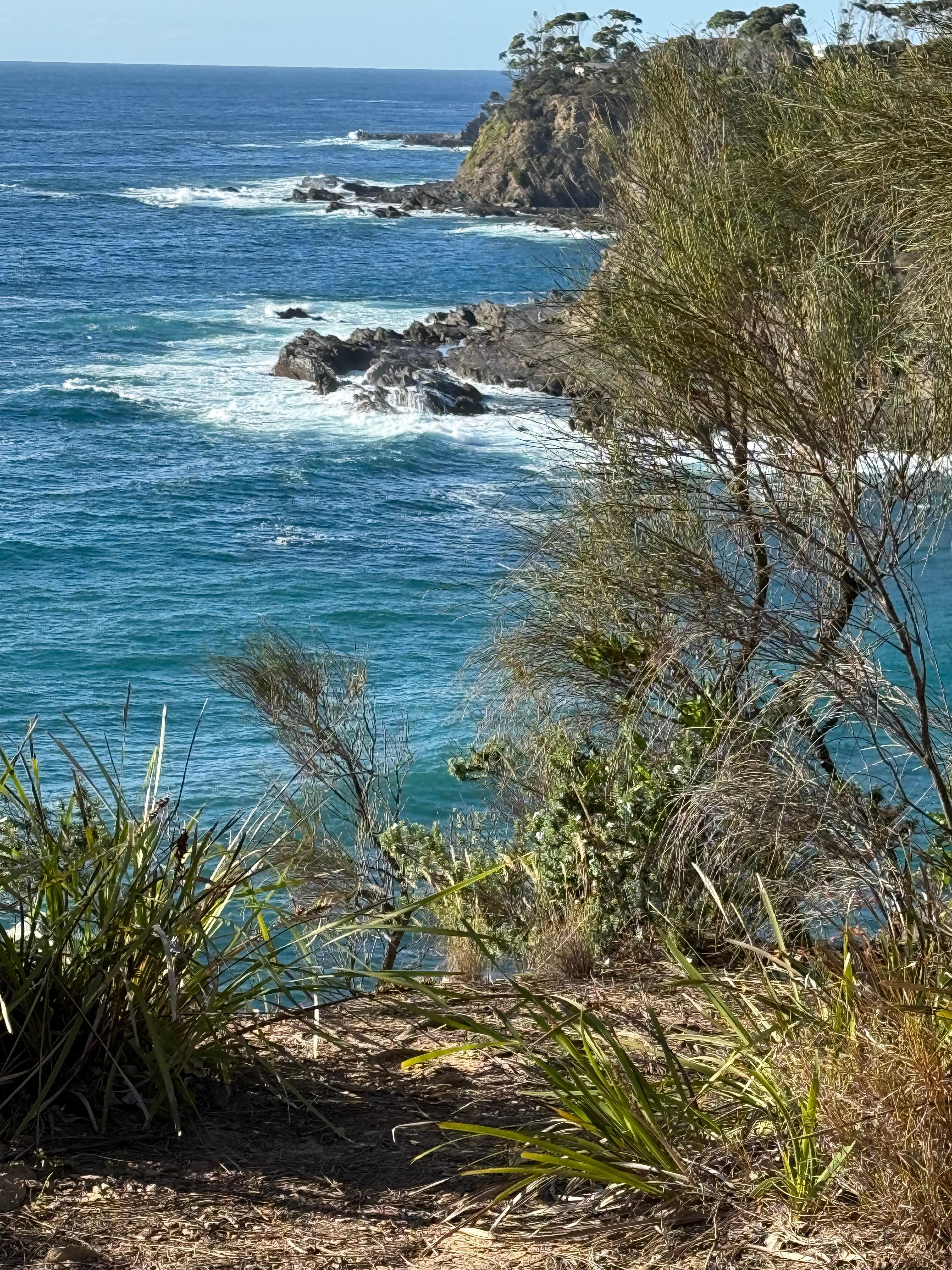 View from trail Lilli Pilli beach to Mosquito Bay