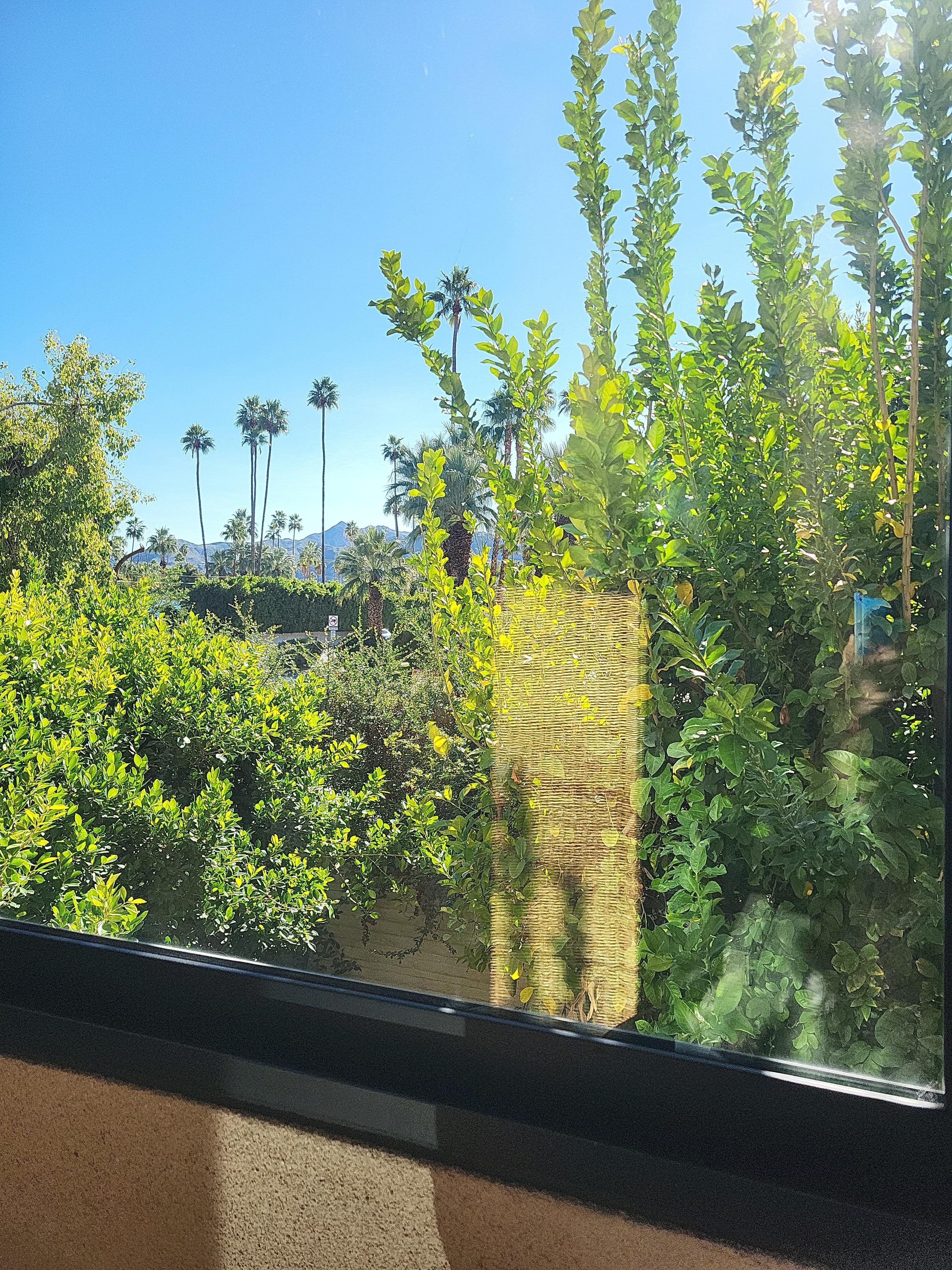 View looking out the living room porch. There is some road noise. Usually kept the windows closed. It was quiet at night, though.