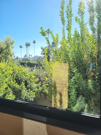 View looking out the living room porch. There is some road noise. Usually kept the windows closed. It was quiet at night, though.