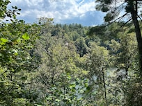 Mountains just over the trees