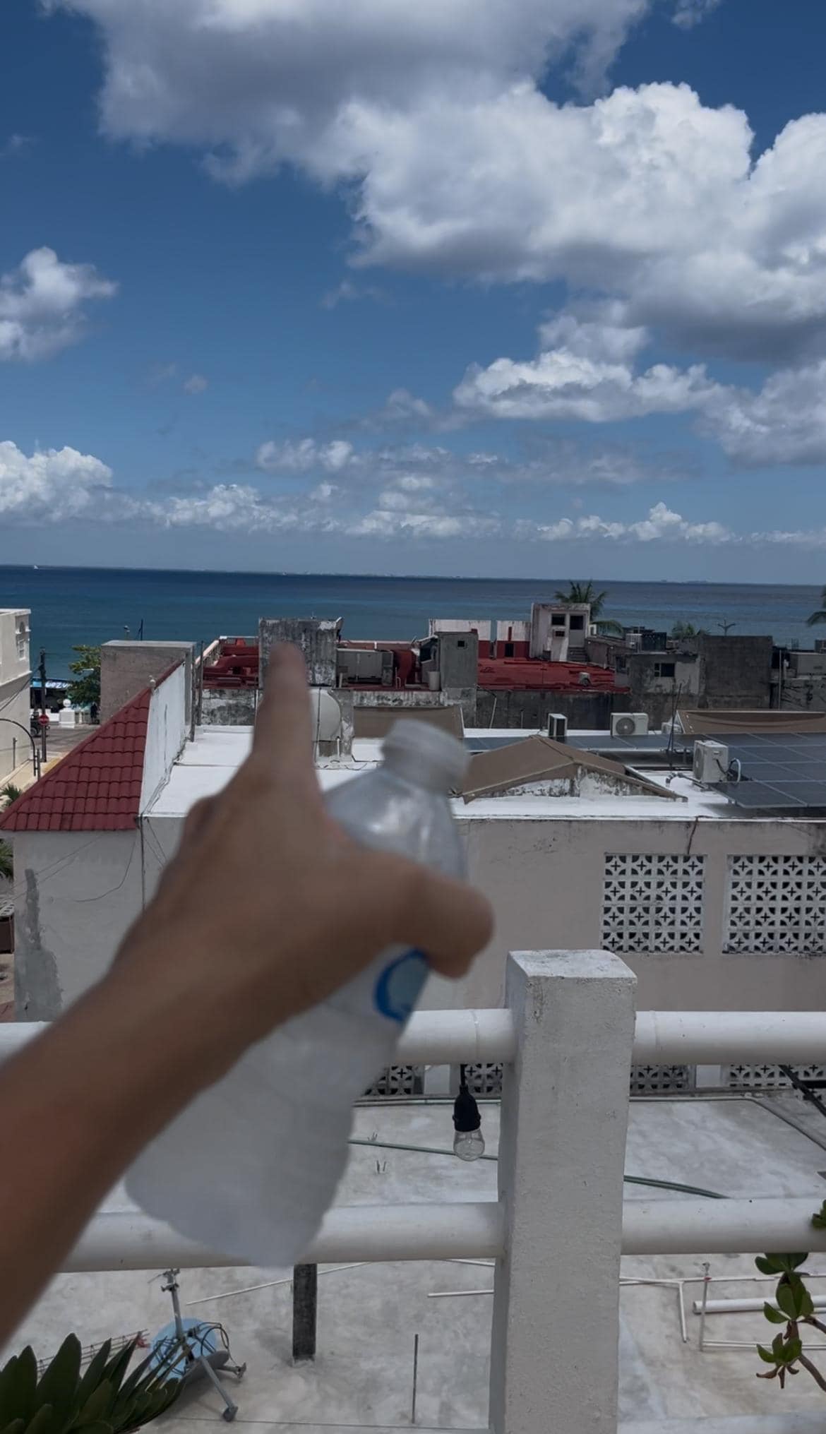 Roof deck view