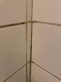 Mold in shower