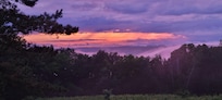 Beautiful sunset