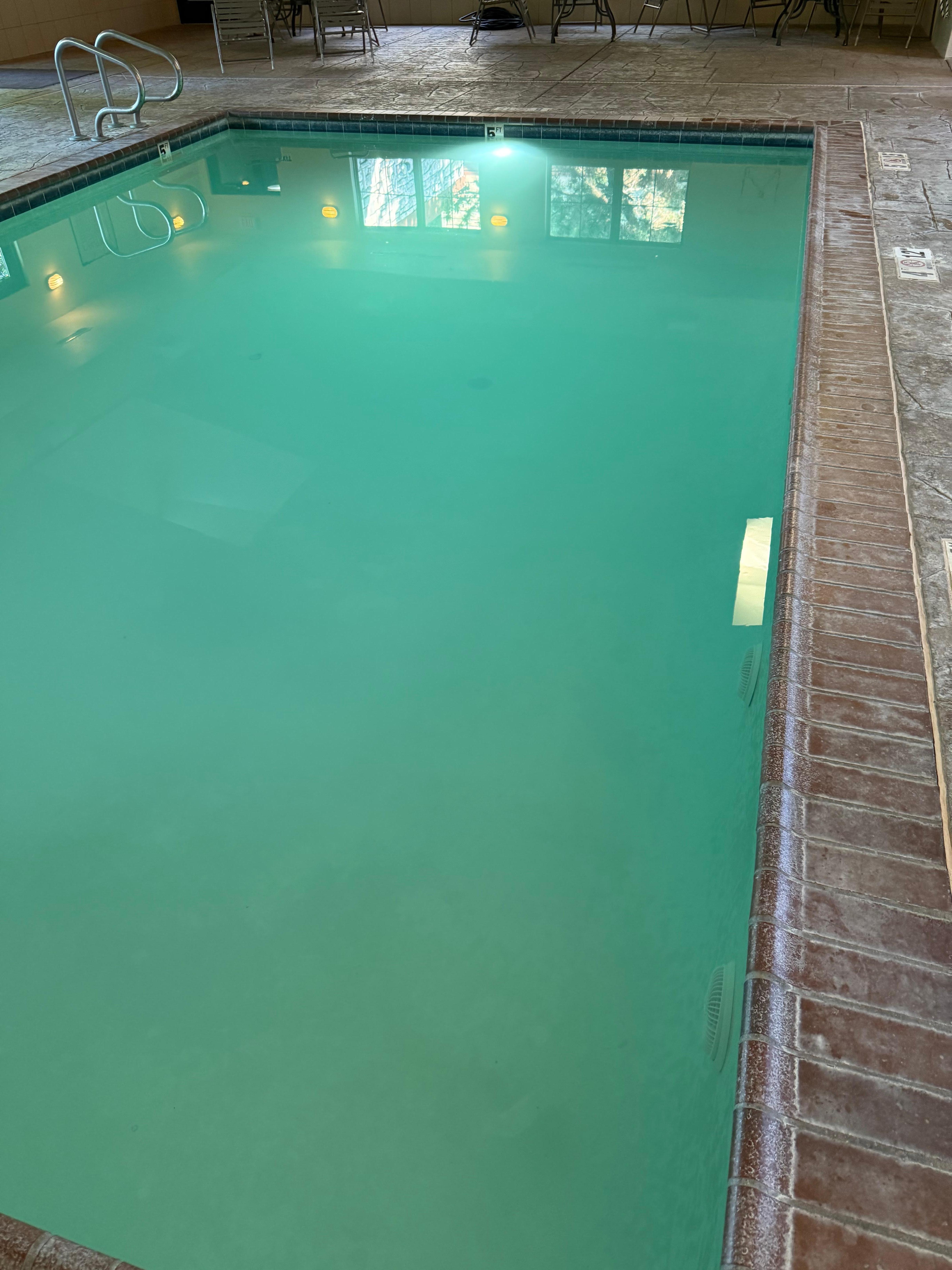 Can’t see the bottom of the pool, food and trash round the edge