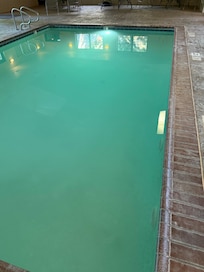 Can’t see the bottom of the pool, food and trash round the edge