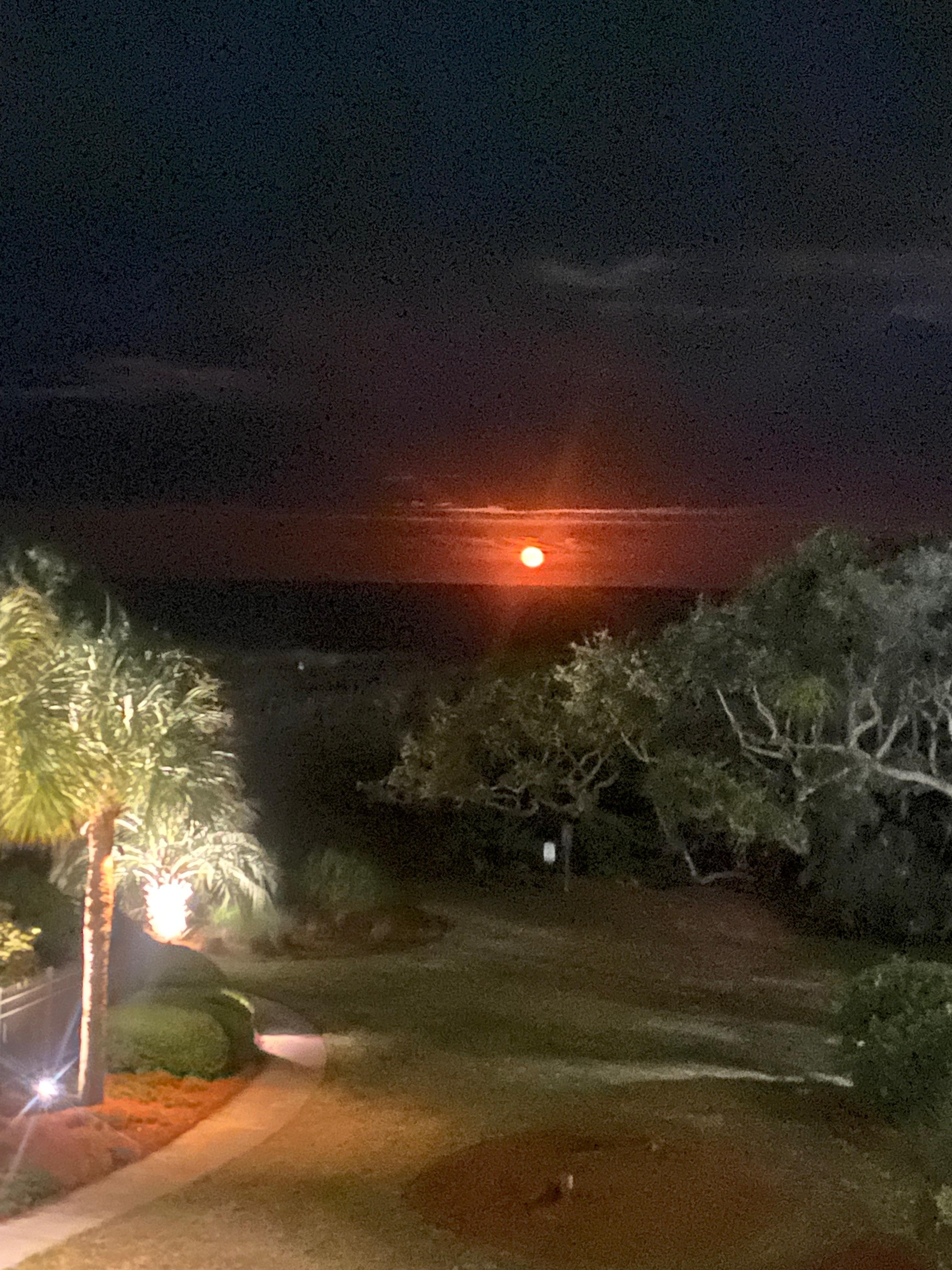 From the balcony