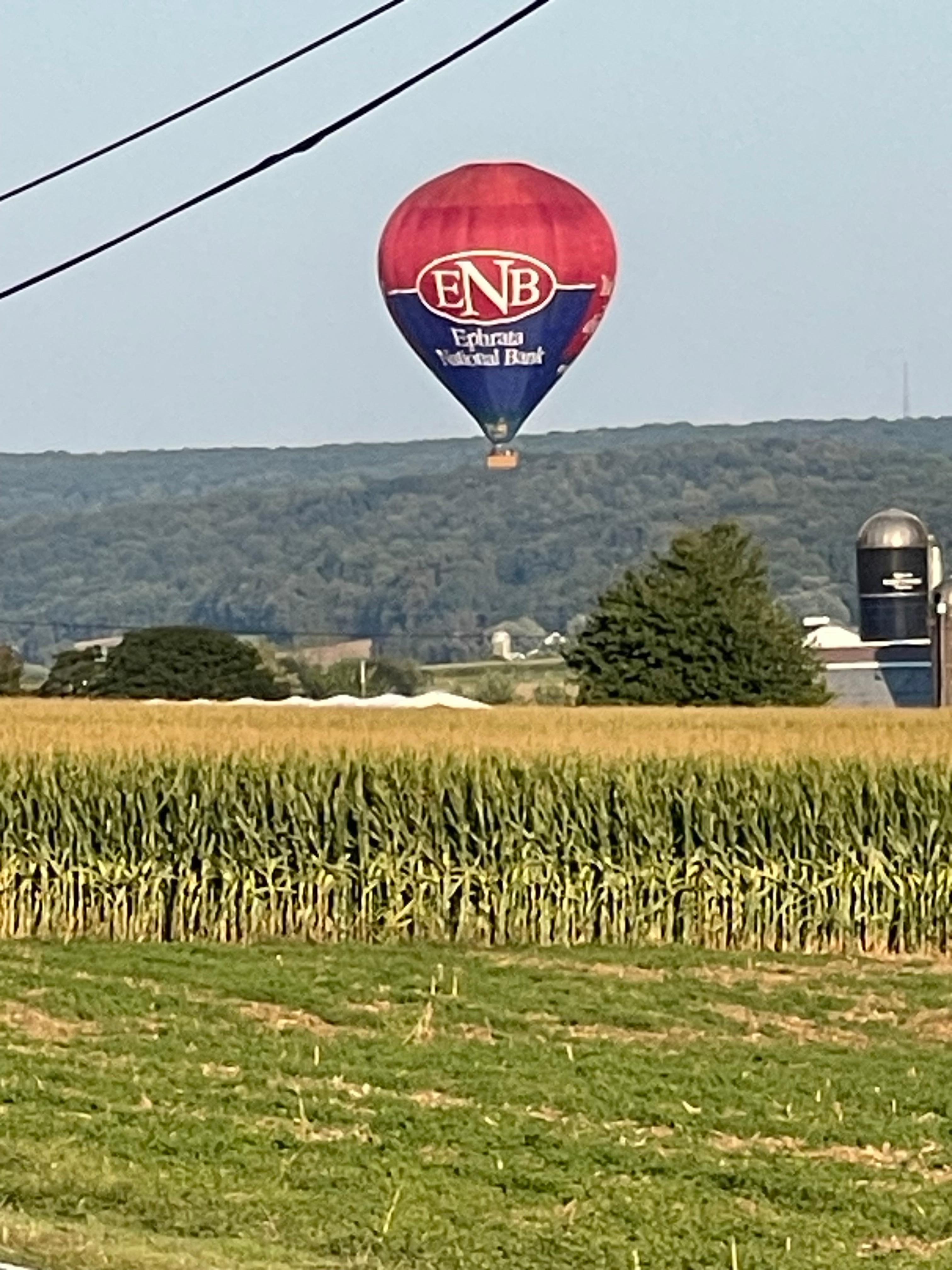 Beautiful scenery all around us