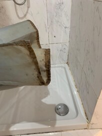 Shower curtain