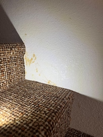 Gross markings on walls.