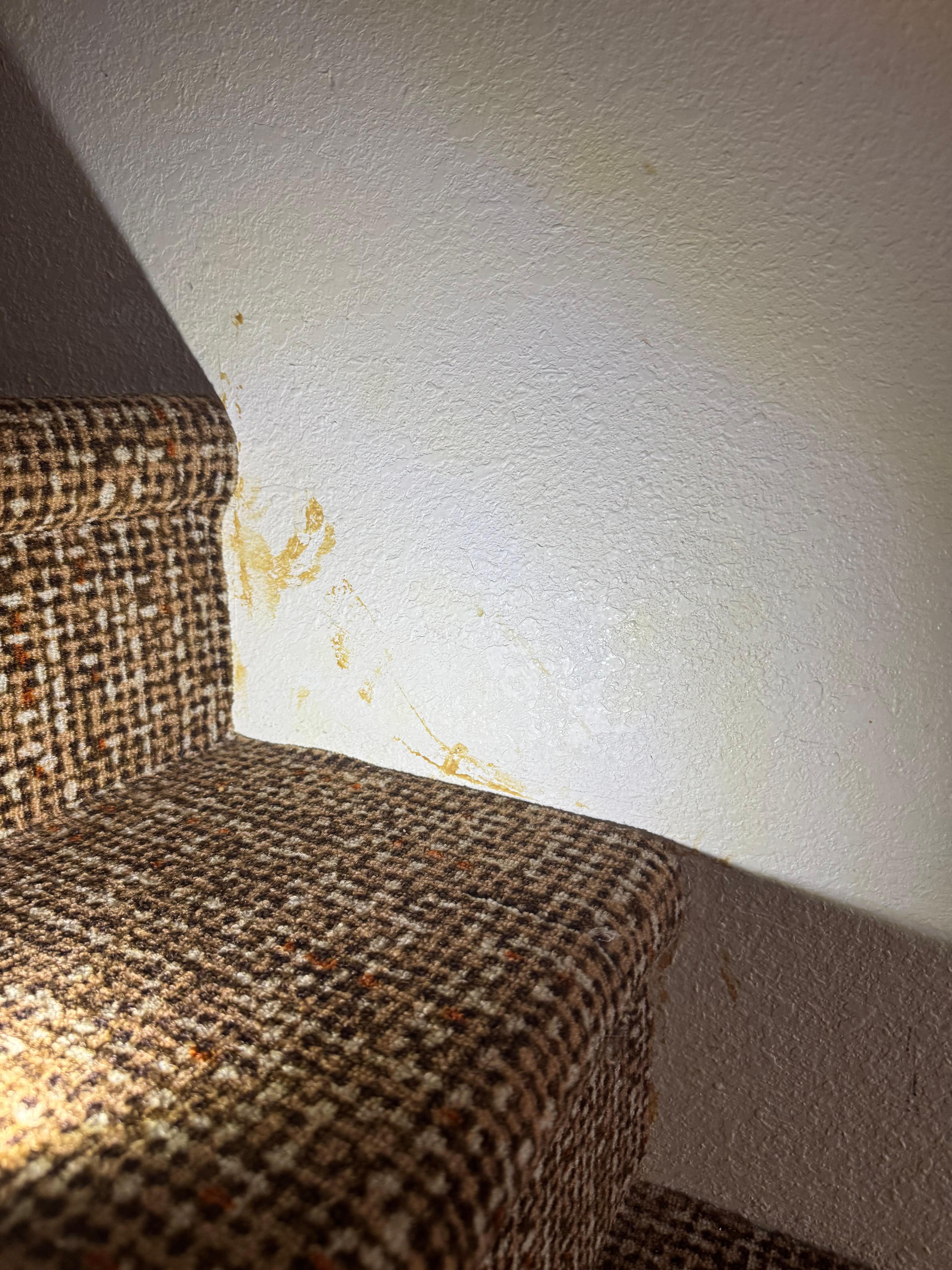Gross markings on walls.