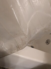 The shower curtain! EW