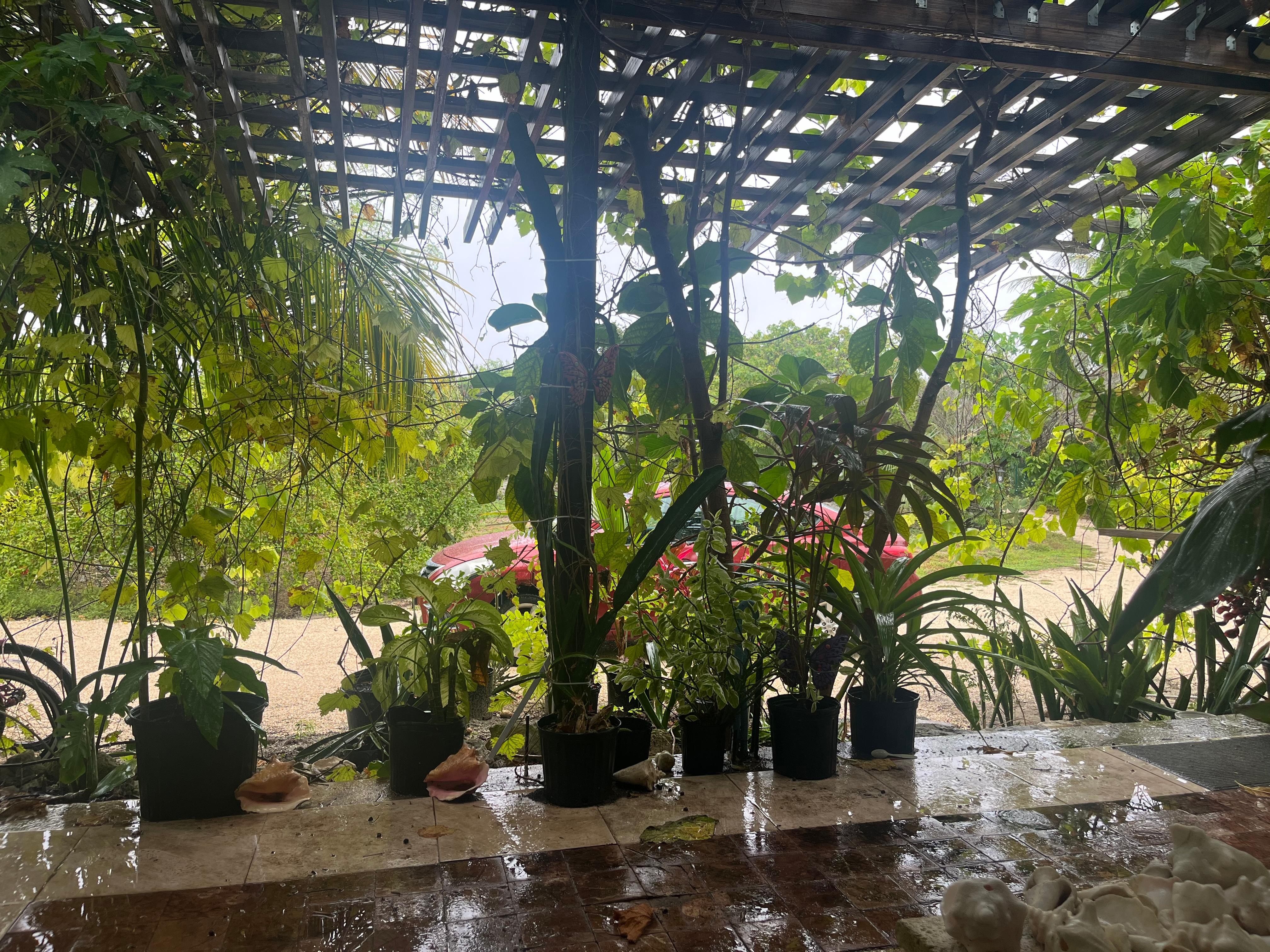 Looking off front porch