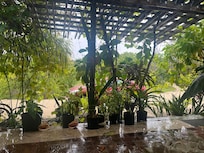 Looking off front porch
