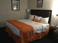 Comfortable King Sized Bed