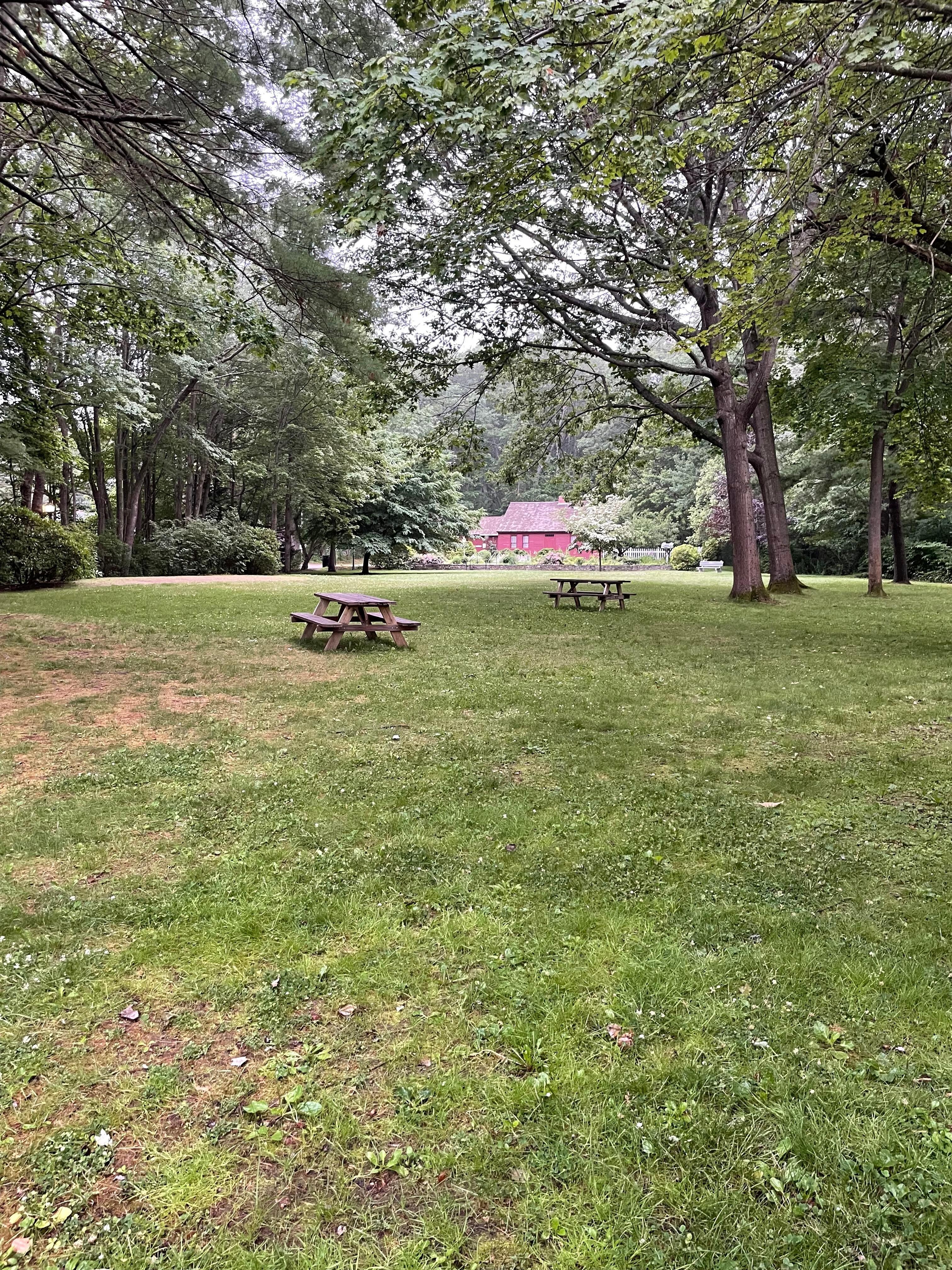 Dorothea Jacobs Grant Coomon