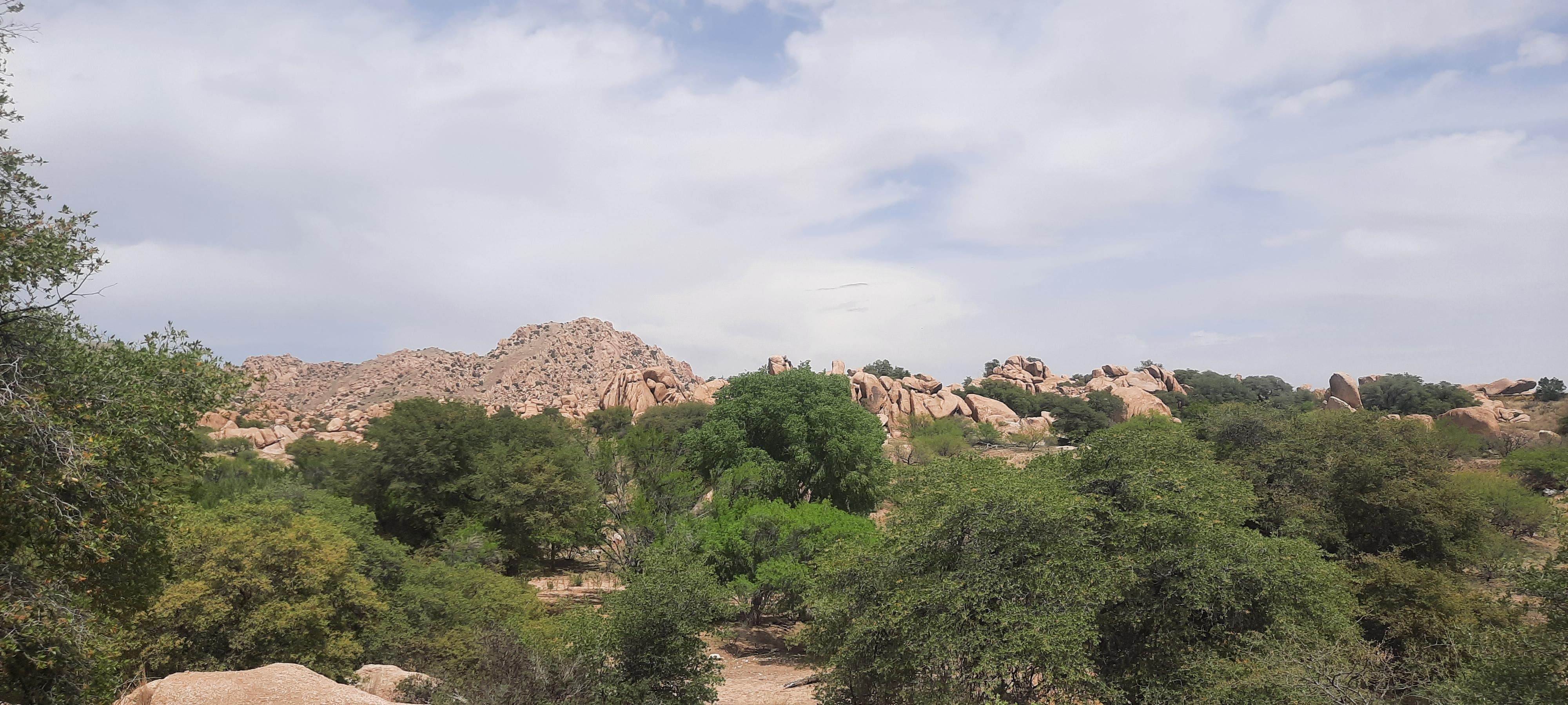 Kartchner Caverns St. Park - great place for a hike!