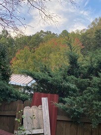 Beautiful view