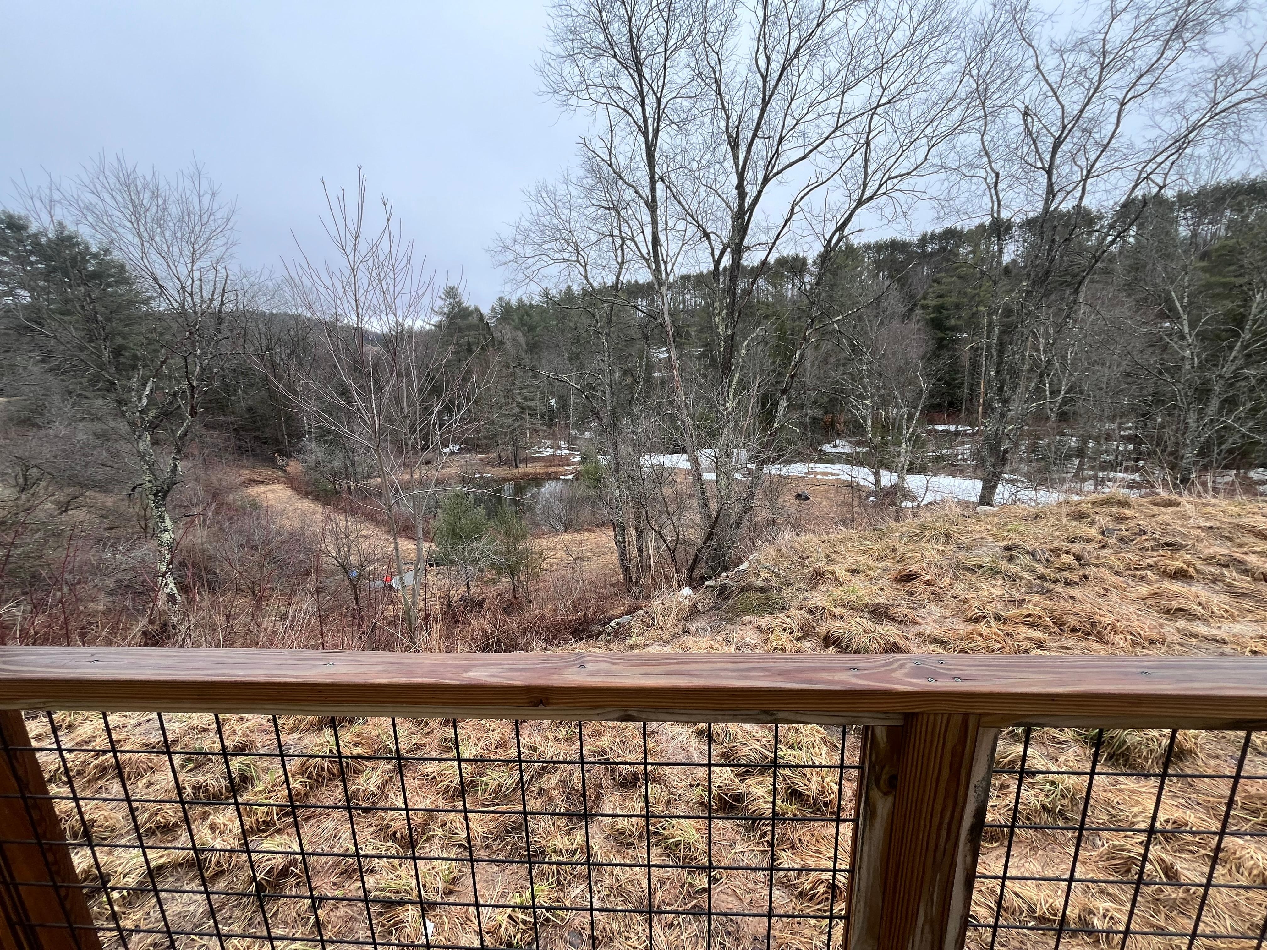 view from back porch