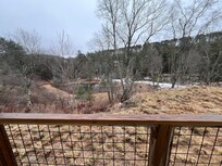 view from back porch